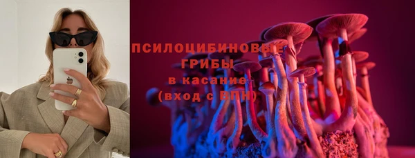 mdpv Пересвет