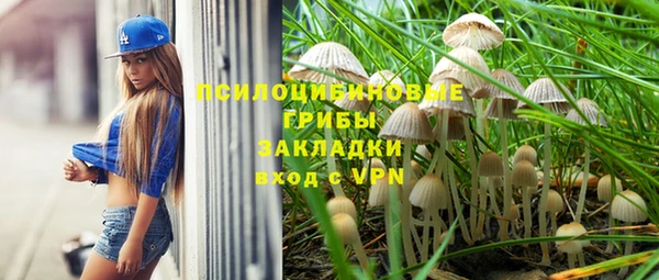 mdpv Пересвет