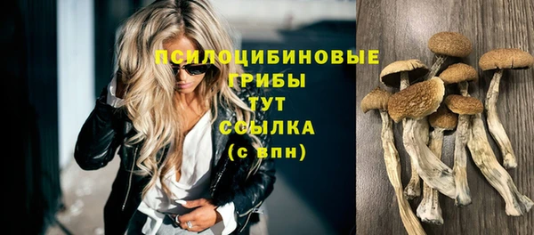mdpv Пересвет