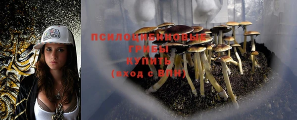 mdpv Пересвет